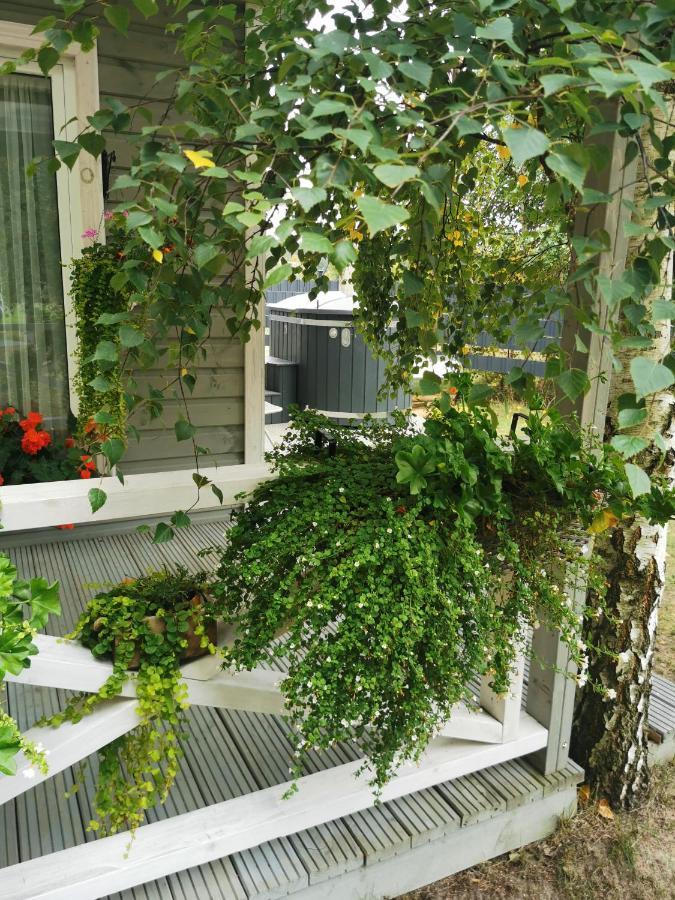 Holiday Home Kolka Bagian luar foto